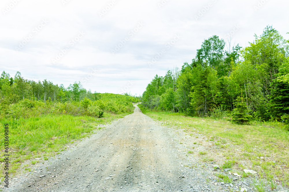 Gravel road Canadian green trees and cloudy weather