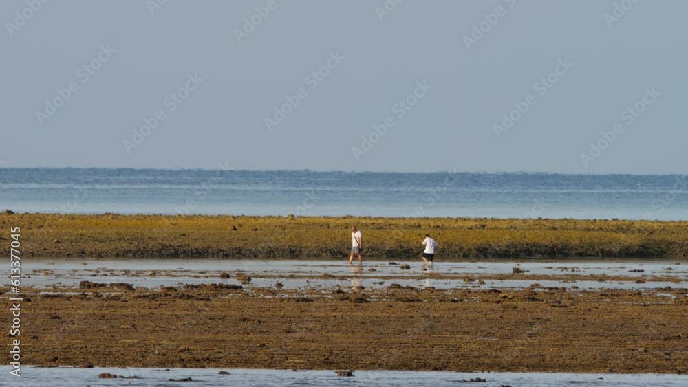 People mud walking on a big empty desolate beach at the tidal area of the Andaman sea People mud walking on a big empty desolate beach at the tidal area of the Andaman sea
