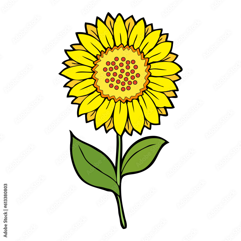 Fototapeta premium sunflower vector illustration