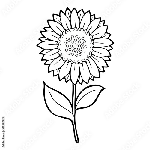 sunflower line vector illustration