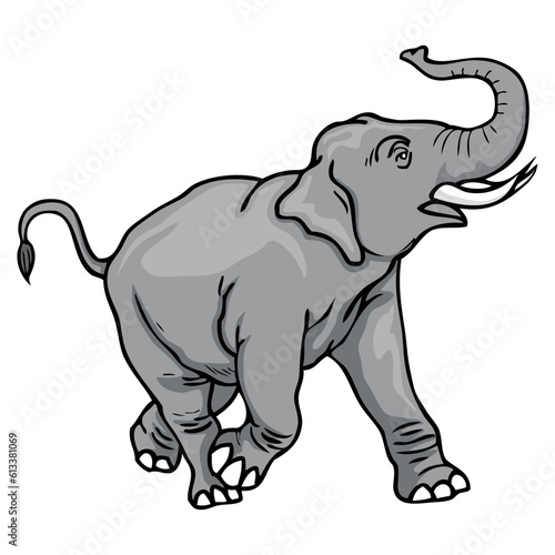 elephant vector illustration