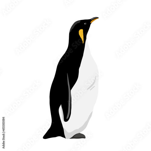 King Penguin. Flat vector illustration. Polar animal