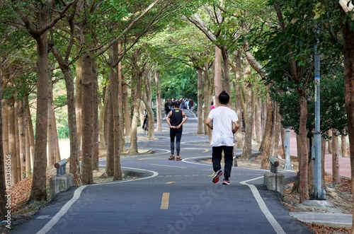 Wallpaper Mural A perspective view of a bikeway under an archway of giant old trees with local people walking on the winding pathway through the lavish greenery in the morning, in Shengang District, Taichung, Taiwan Torontodigital.ca