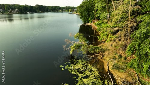 Tilting up to show the shore to the trees. photo