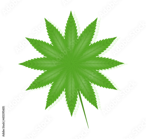 Free vector gradient leaves