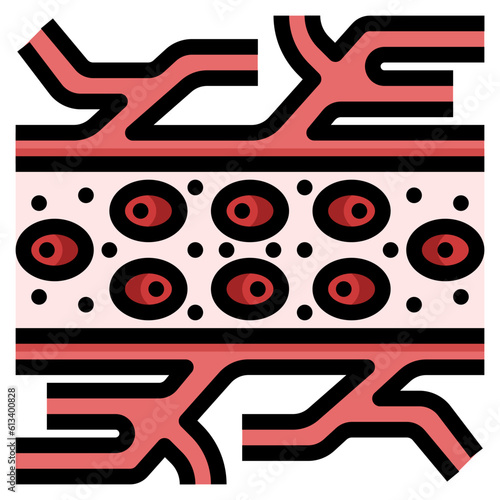 capillary