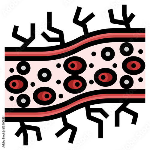 capillary