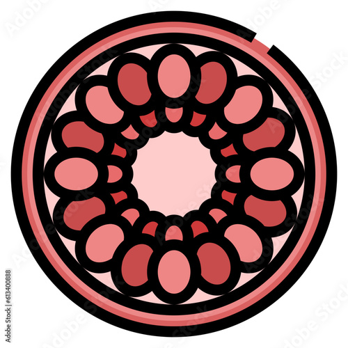 vascular
