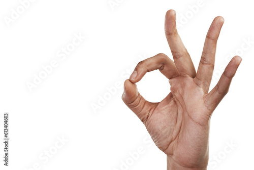 Approve, perfect and hand with okay sign for agreement on isolated, PNG and transparent background. Yes emoji, support and closeup of gesture, icon and signal for approval, thank you and success photo