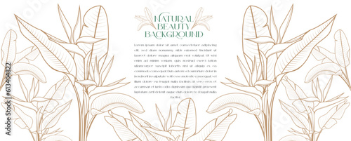 Heliconia leaves floral vector design template as background for cosmetic and spa natural beauty labels