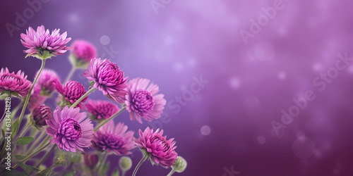 Beauty xeranthemum flower, garden decoration, copy space blurred background, Generative AI photo