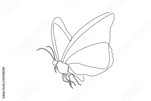 Continuous one line drawing insects concept. Single line draw design vector graphic illustration.