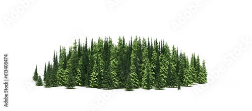 group of trees isolated on a white background, big trees in the forest, 3D illustration, cg render