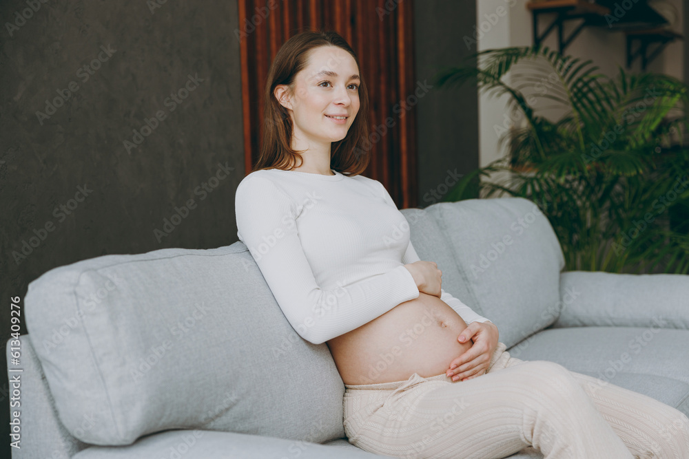 Sideways young pregnant minded happy fun woman wearing casual clothes sits on grey sofa couch stay at home hotel flat rest relax spend free spare time in living room indoor. Maternity family concept. Sideways young pregnant minded happy fun woman wearing casual clothes sits on grey sofa couch stay at home hotel flat rest relax spend free spare time in living room indoor. Maternity family concept.