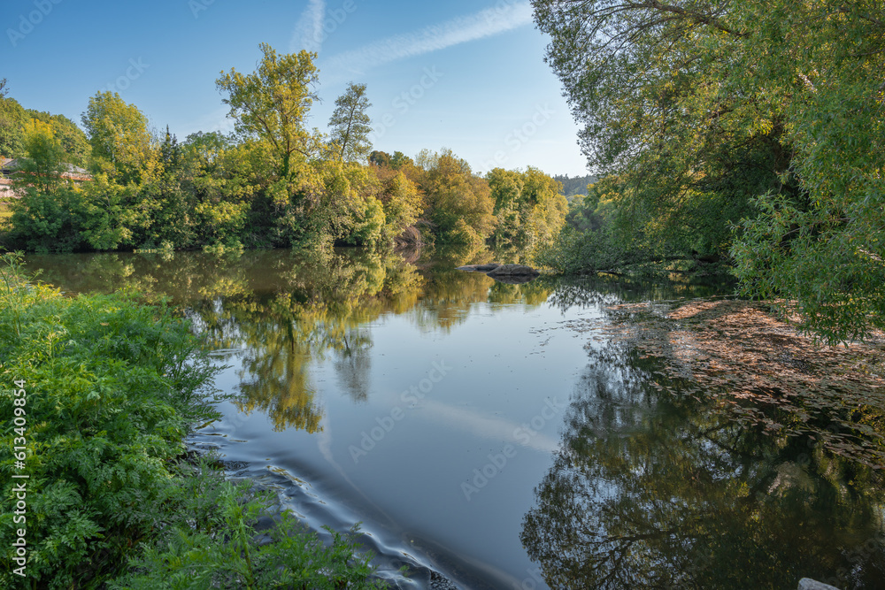 general shot of trees and leaves reflected in the water of a lake on a blue sky day.