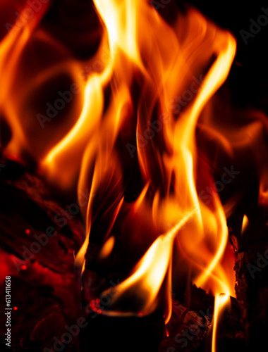 Fire flame from wooden firewood. Background.