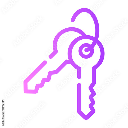 keyset Line Gradient Icon