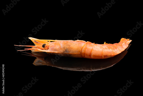 Red giant argentine shrimp isolated on black background. Large tiger shrimp isolated.