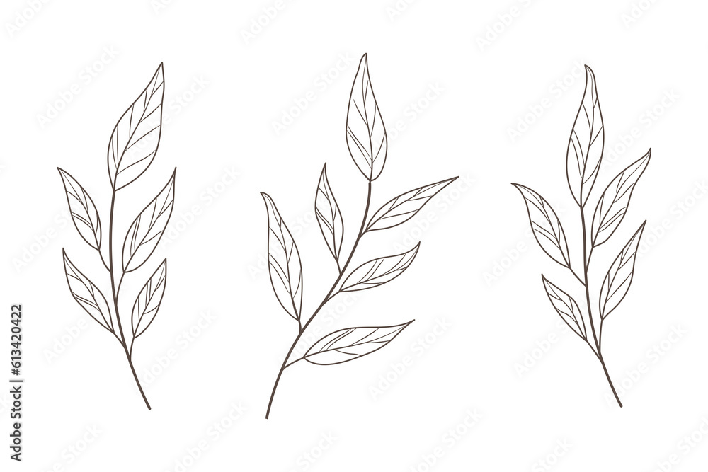 Leaf branch in hand drawn style. Hand drawn plant and monogram with elegant leaves for invitation card design Leaf branch in hand drawn style. Hand drawn plant and monogram with elegant leaves for invitation card design