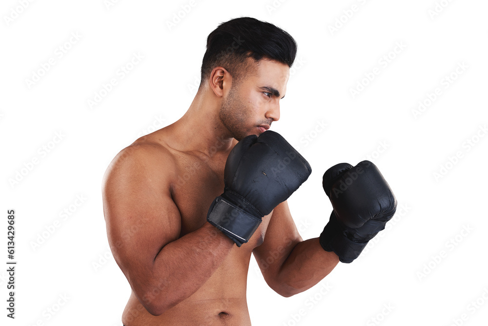 Sports, boxing and strong man in gloves isolated on transparent, png background for power, fist and competition. Fitness, exercise focus and boxer or person for training in MMA or martial arts fight Sports, boxing and strong man in gloves isolated on transparent, png background for power, fist and competition. Fitness, exercise focus and boxer or person for training in MMA or martial arts fight