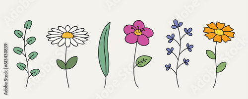 floral set different colorful flowers and leaves isolated vector illustration EPS10