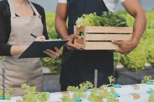 Two Asian farmers inspecting the quality of organic vegetables grown using hydroponics.