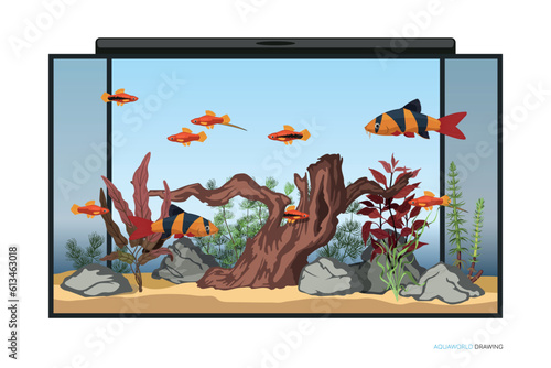 Aquarium underwater interior. Cartoon background with fishes and aquatic plants. Domestic water tank landscape. Aqua scene drawing