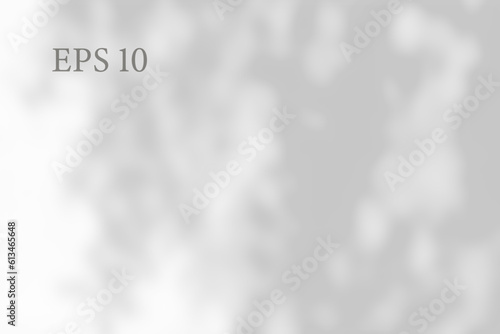 Transparent natural tree shadow. Light effect overlay. Mesh grid. Shadows from branches on ground. Presentation your design card, poster Photo realistic vector illustration