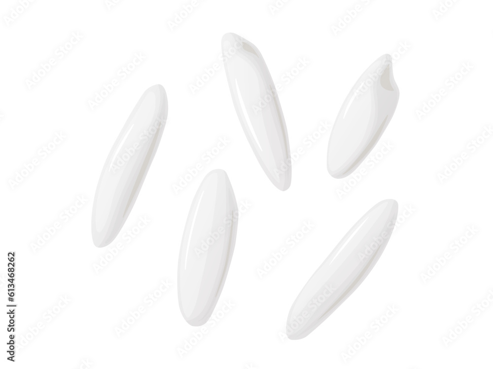 Rice grains. Ingredient for food, rolls, sushi. Rice grains. Ingredient for food, rolls, sushi.