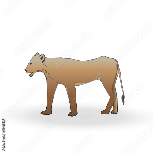 A vector lioness isolated on white background. Hand drawn line sketch  colored illustration with shadow. 