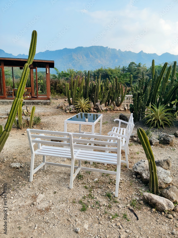 Fototapeta premium a set of table and chairs in the garden