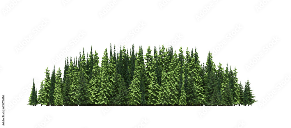 Fototapeta premium group of trees isolated on a transparent background, big trees in the forest, 3D illustration, cg render