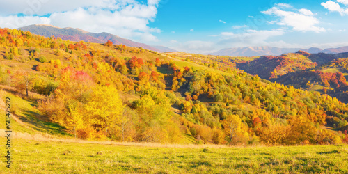 carpathian rural landscape in autumn. colorful scenery with trees in fall foliage on the hills and meadows in evening light. mountain ridge in the distance beneath a gorgeous sky with fluffy clouds
