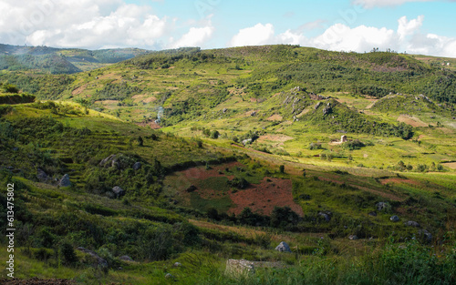 Fototapeta Naklejka Na Ścianę i Meble -  Typical Madagascar landscape - green and yellow rice terrace fields on small hills with clay houses in region near Vohiposa