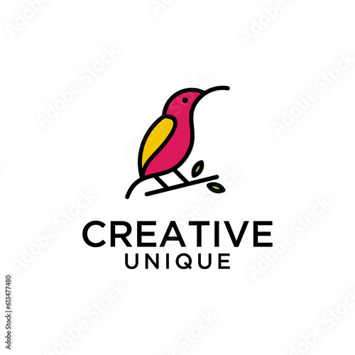 Hummingbird vector logo line art with catchy and unique color