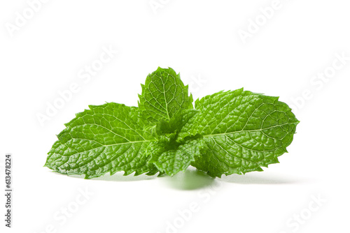Fresh mint leaf isolated on white background.	