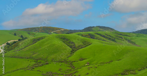 Green Fields, Rolling Hills, Tractor Tracks, Spring Landscape