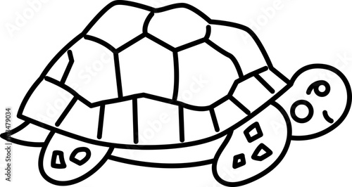 turtle animal zoo outline drawing 