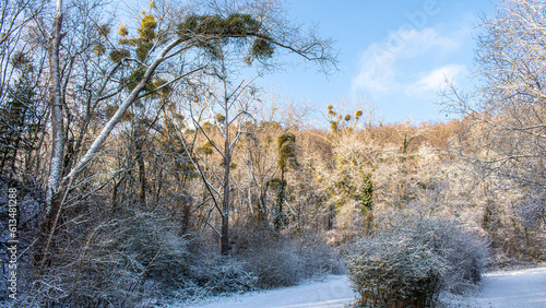 Winter Landscape around Dudelange in Luxembourg