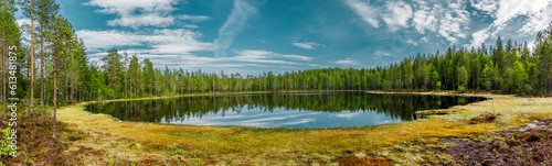 Spiegelung in einem Waldsee in Skandinavien
