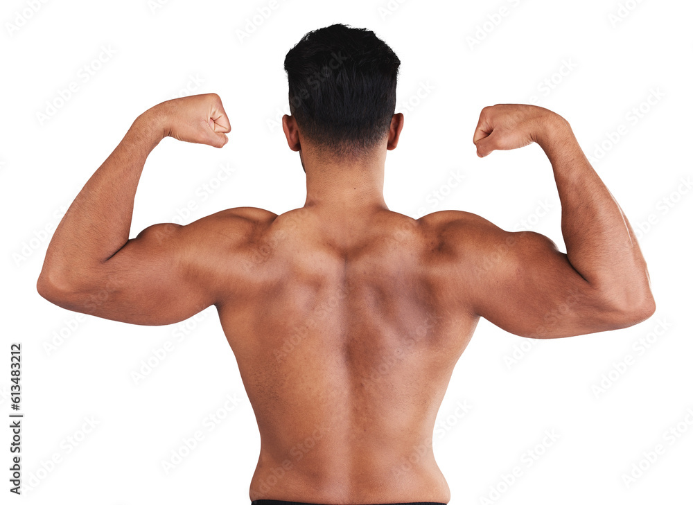 Fitness, back and man flexing muscle in bodybuilding isolated on a transparent PNG background. Rear view of muscular male person or body builder in arm flex for strength, power or workout exercise Fitness, back and man flexing muscle in bodybuilding isolated on a transparent PNG background. Rear view of muscular male person or body builder in arm flex for strength, power or workout exercise