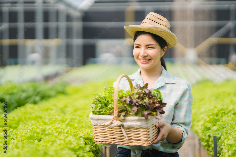 Asian farmers at hydroponic vegetables salad farm.