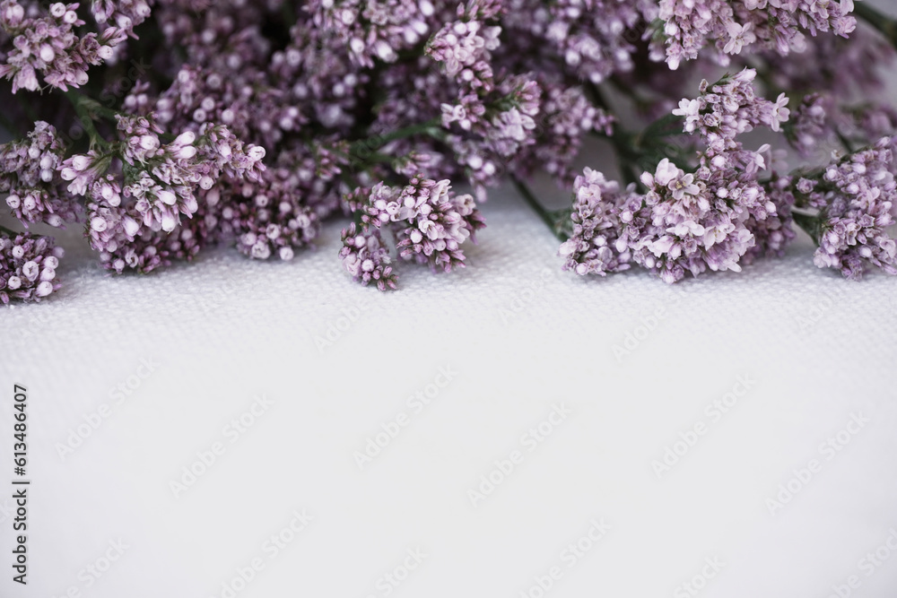 Bouquet of small purple flowers. Delicate floral background. Limonium flowers with white background.