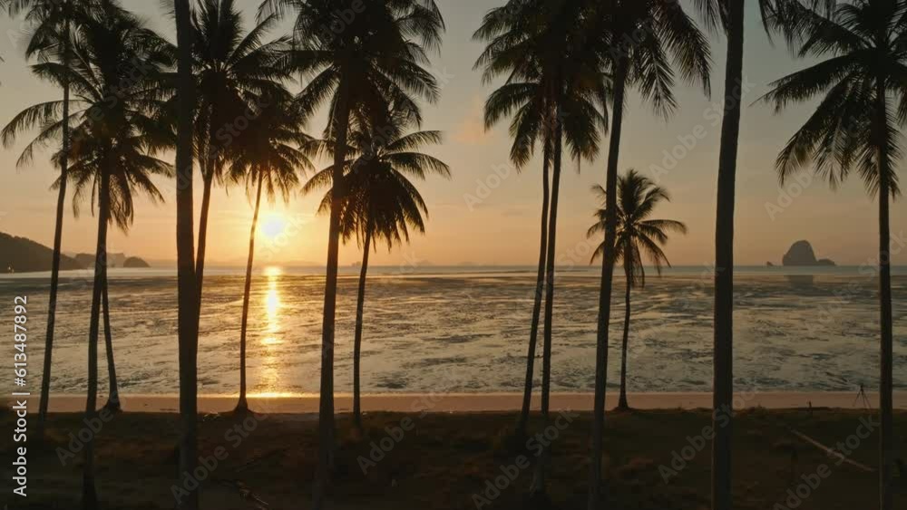 Aerial view drone flying through coconut palm trees to the sea, Laem Had beach, Koh Yao Yai, Thailand Aerial view drone flying through coconut palm trees to the sea, Laem Had beach, Koh Yao Yai, Thailand