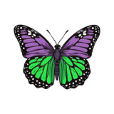 Beautiful colorful cartoon exotic vector isolated on white pastel purple green lime butterfly with colorful wings and antennae sticker flat design