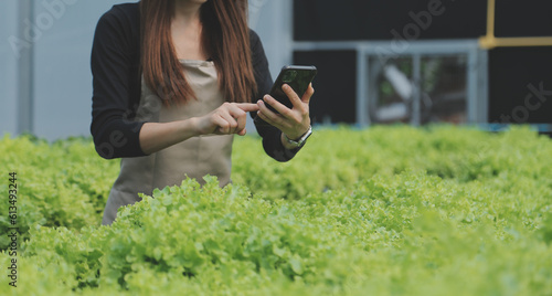 Organic farm ,Worker testing and collect environment data from bok choy organic vegetable at greenhouse farm garden.