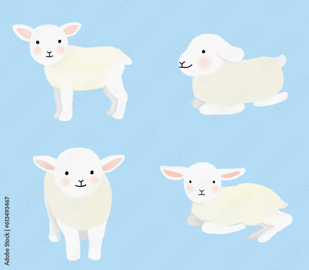 lamb Illustration in various movements lamb Illustration in various movements