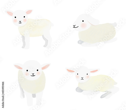 lamb Illustration in various movements