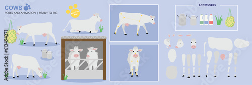 white cow ready to animate with multiple poses accessories. Vector file labeled ready to rig. milking cow, cow walking, Cow sitting, Cow shed, farm animals 