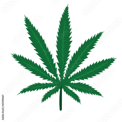 cannabis leaf vector art illustration weed design